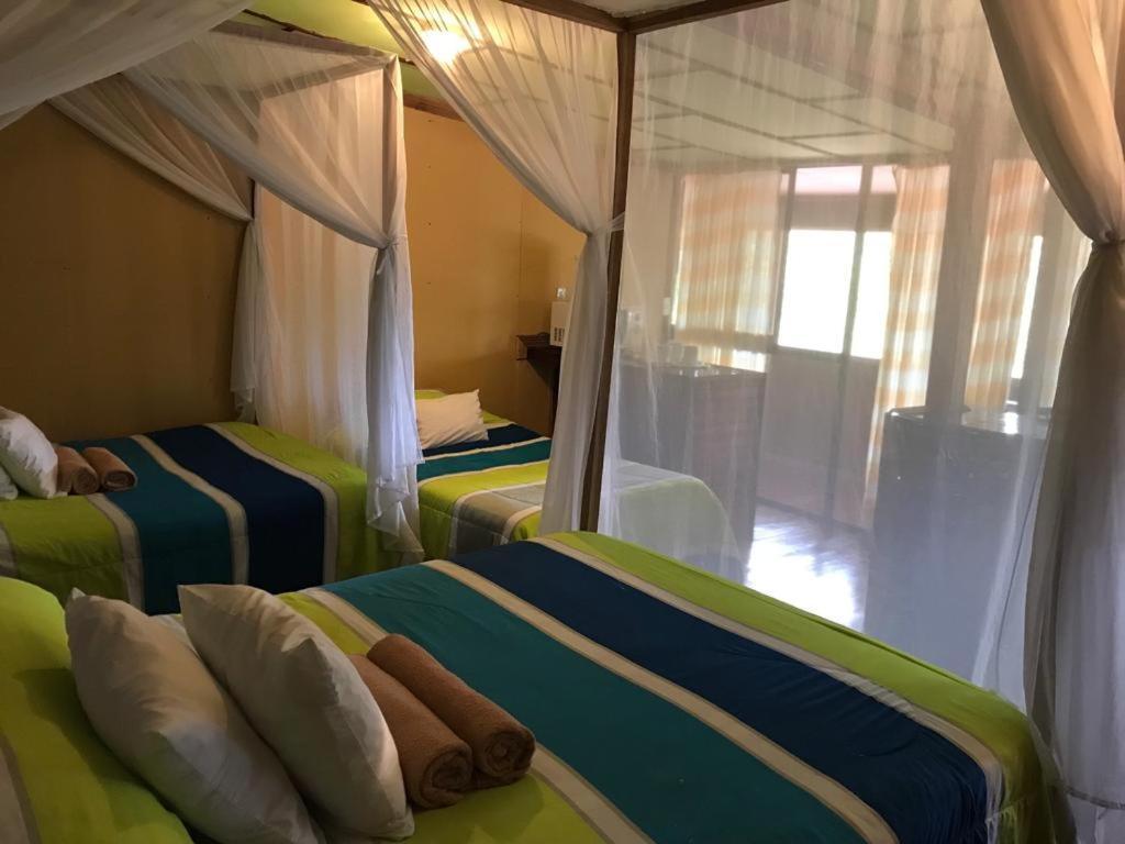 Hotel Green Mountain Турріальба Екстер'єр фото