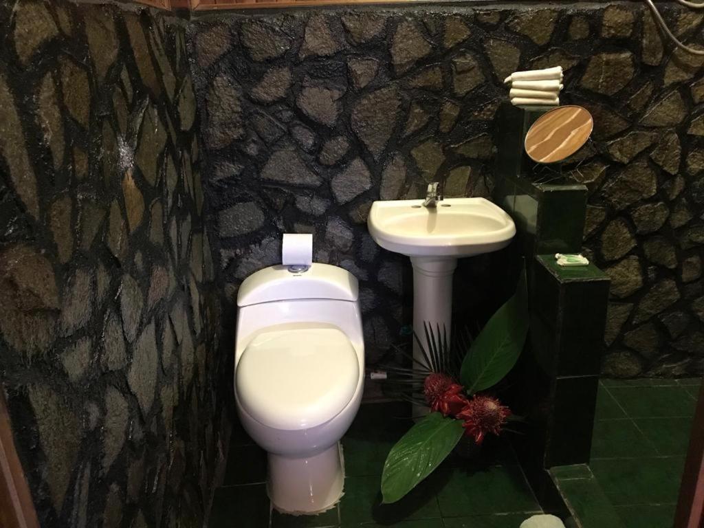 Hotel Green Mountain Турріальба Екстер'єр фото